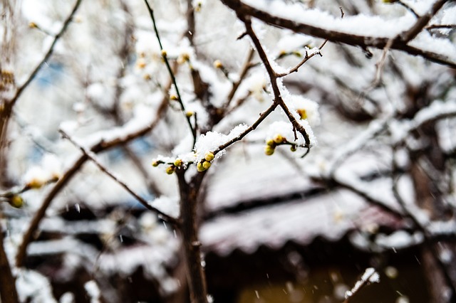 练佐纳森