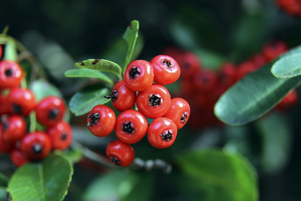 通过大换血 通过大换血