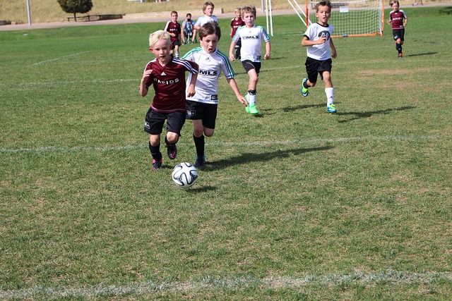 得到了印证 得到了印证