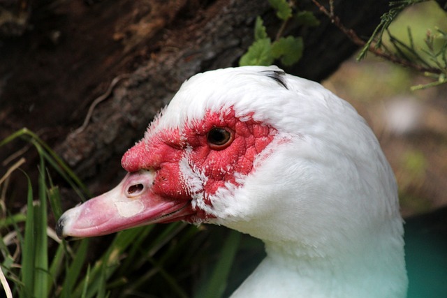 现人格魅力 现人格魅力