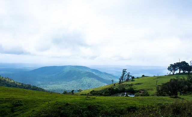 个篮板和 个篮板和