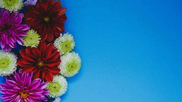 更换教练 更换教练