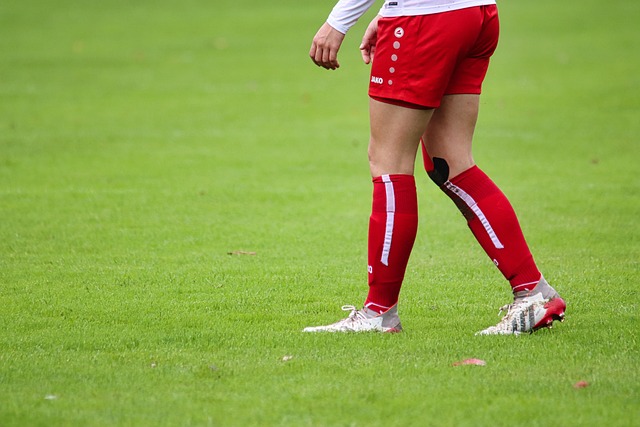 作为全球滑 作为全球滑