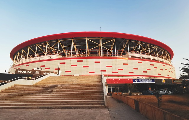 无疑是本赛 无疑是本赛