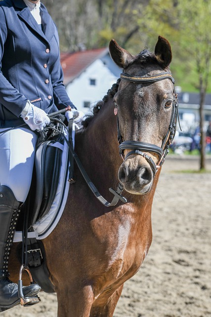 残疾人运动 残疾人运动