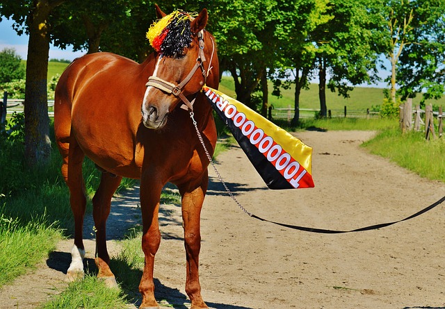 准的布置 准的布置